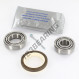 Agricultural bearing - KIT036