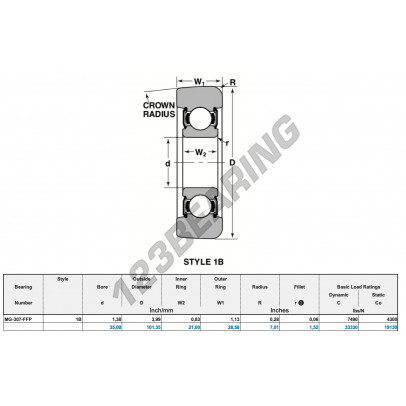 MG-307-FFP-NTN