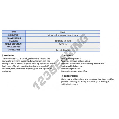 MS-9120-WHITE-400ML-TEROSON