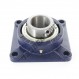 Housed bearing - 4 bolts - MSF55-RHP
