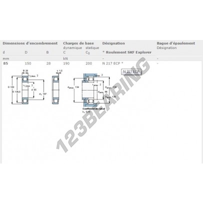 N217-ECP-SKF