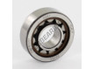 NJ202-ECP-SKF