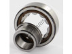 NJ204-ECP-C3-SKF