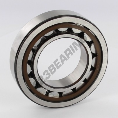 NJ209-ECP-C3-SKF