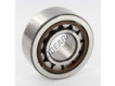 NJ2306-ECP-C3-SKF