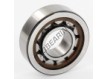 NU203-ECP-C3-SKF