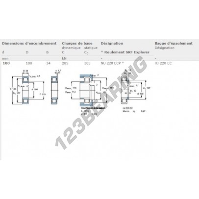 NU220-ECP-SKF