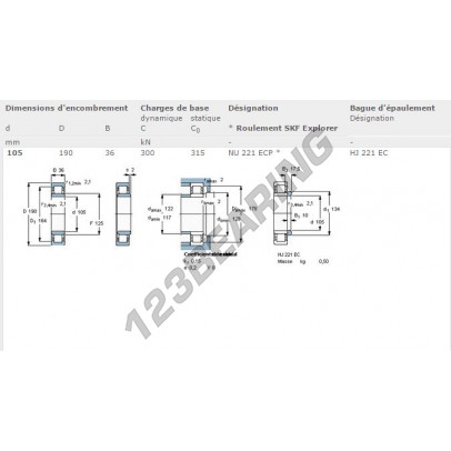 NU221-ECP-SKF