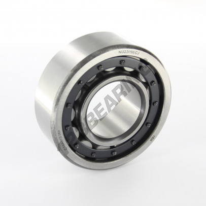 NU2309-ECJ