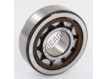 NU304-ECP-SKF