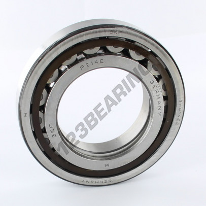 NUP214-SKF