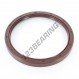 Rotary shaft seal - OAS-110X130X12-FPM