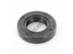 OAS-17X31X7-NBR
