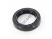 OAS-25X36X7-NBR
