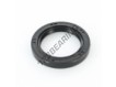 OAS-32.50X46X6-NBR