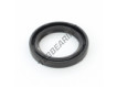 OAS-32.50X46X6-NBR