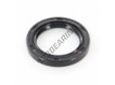 OAS-32X45X6-NBR