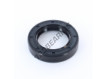OAS-35X55X11-NBR