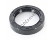OAS-40X56X12-NBR