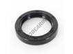 OAS-44.50X62X10-NBR
