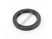 OAS-46X63X6.50-NBR
