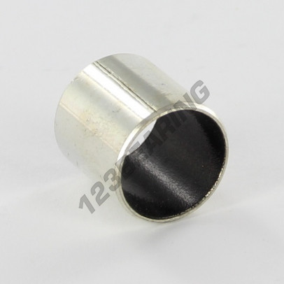 PAP1518-P10