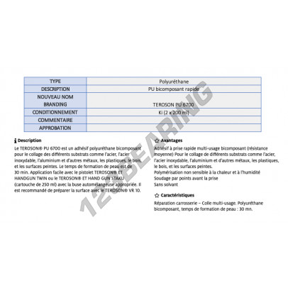 PU-6700-KIT-2X200ML-TEROSON