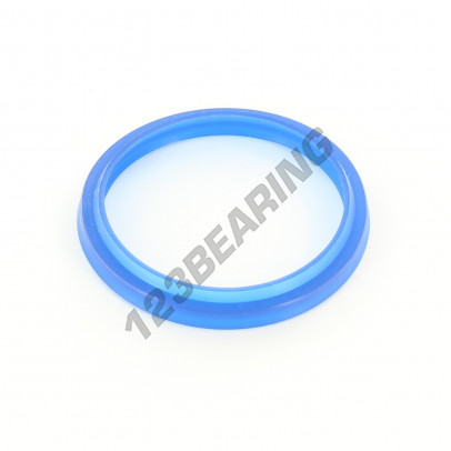 RDE-50X58.60X5.30-7-PU94