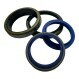 RIA-25X31X5-7-NBR90