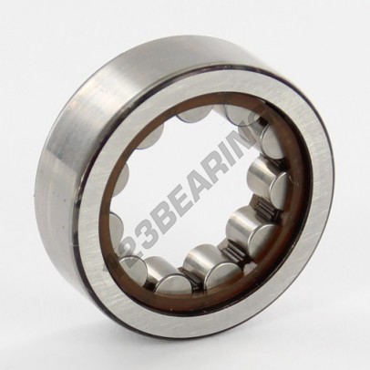RNU202-ECP-SKF