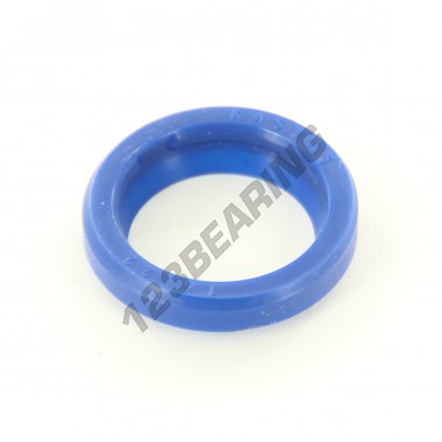 RS-16X22X3.50-5-PU94