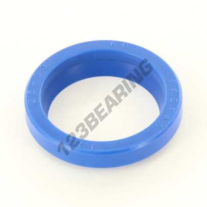 RS-25X33.60X5.30-7-PU94