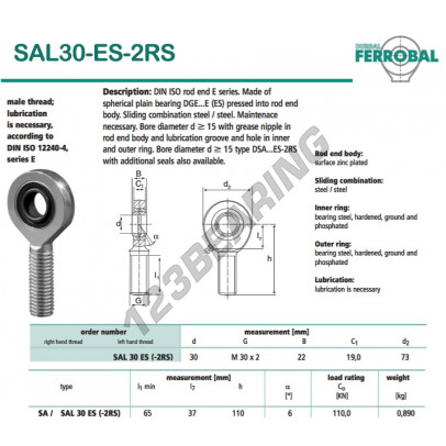 SAL30-ES-2RS-DURBAL