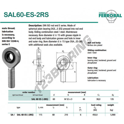 SAL60-ES-2RS-DURBAL