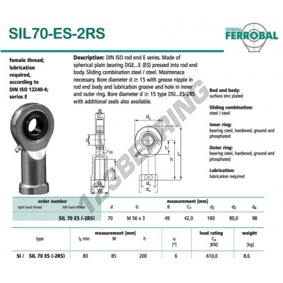 SIL70-ES-2RS-DURBAL