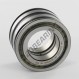Roller bearing - SL045007-PP-INA
