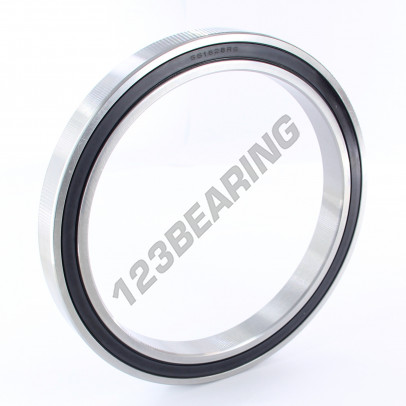 SS61828-2RS