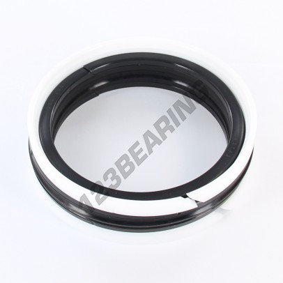 TP1-100X125X25.40-NBR80