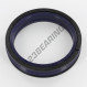 Piston seal - TP10-63X80X13-BR90