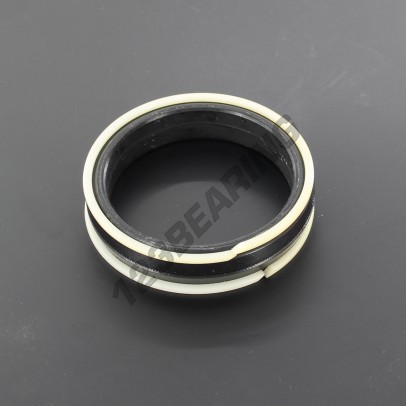 TP2-66X80X16.50-NBR90