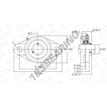 UCFL217
