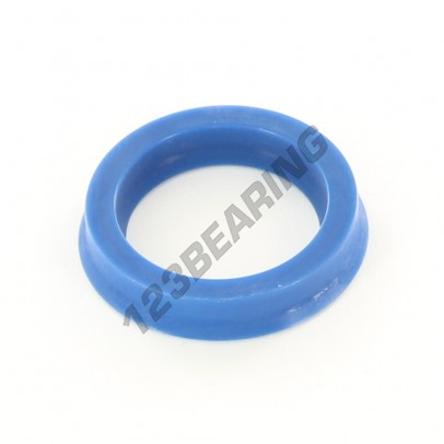 US-19.05X25.40X4.76-PU94