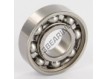 W6001-SKF