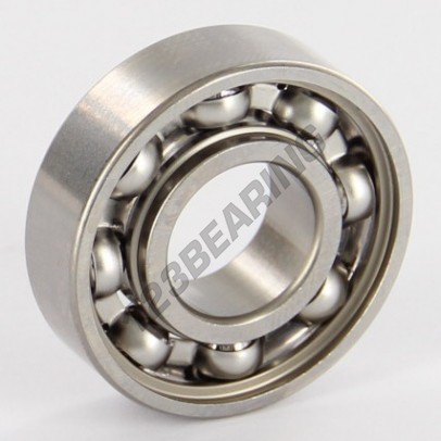 W6001-SKF