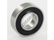 W6002-2RS1-SKF