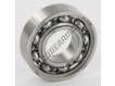 W6002-SKF