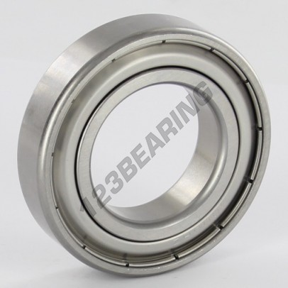 W6006-2Z-SKF