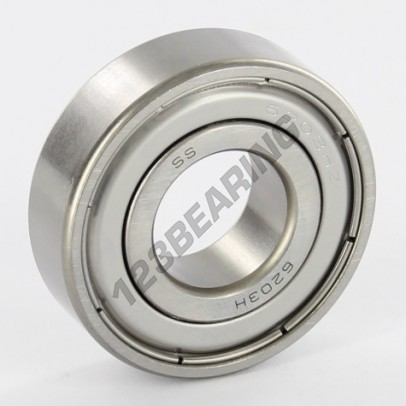 W6203-2Z-SKF