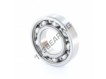 W6208-SKF