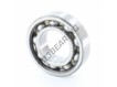 W6653-SKF
